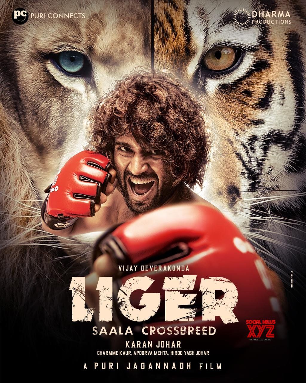 'Liger' Movie Review, Public Response and Box-Office Collection