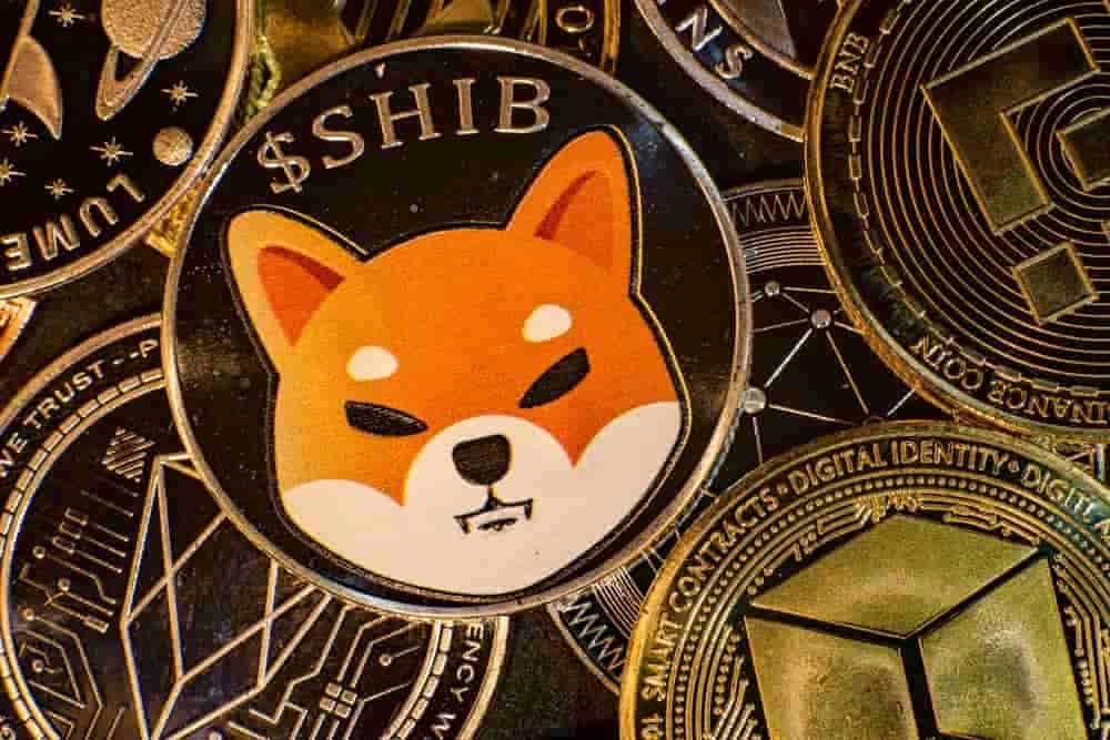 robinhood crypto shiba inu