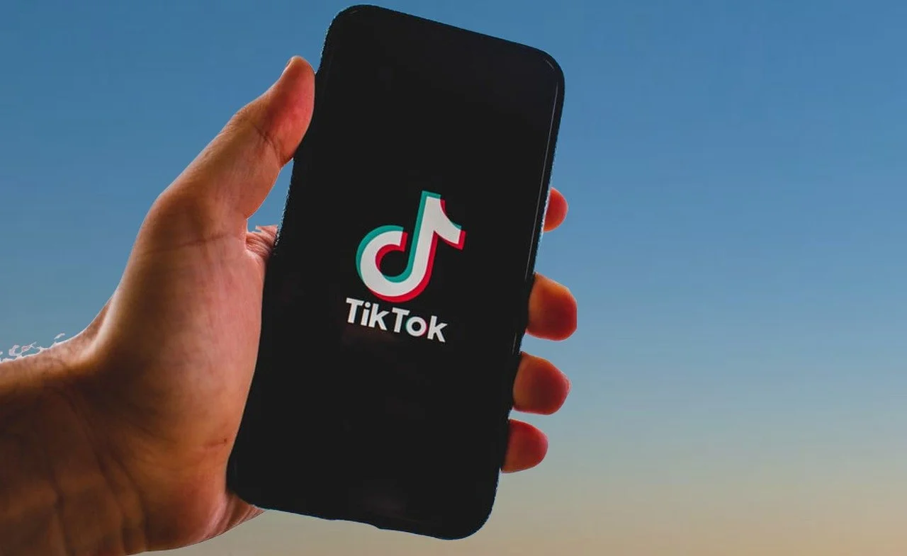 TikTok has the capability to function as a sophisticated collection and surveillance tool that records extensive amounts of personally identifiable information for the Chinese government.