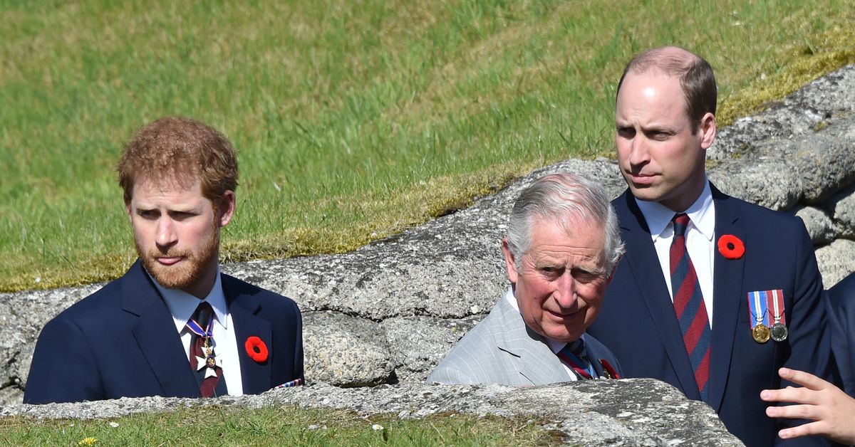 UK's Prince Harry: I want my father and brother back