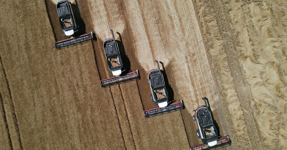 World food prices hit record high in 2022