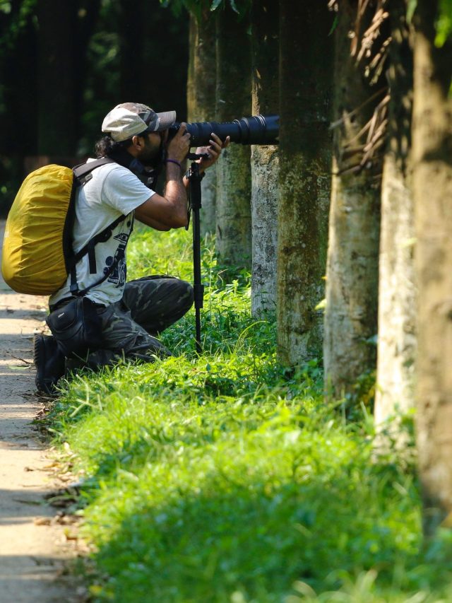 11 Stunning Images From the 4th Annual Close-Up Photographer Awards