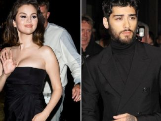 Selena Gomez and Zayn Malik spotted kissing at dinner night in NYC