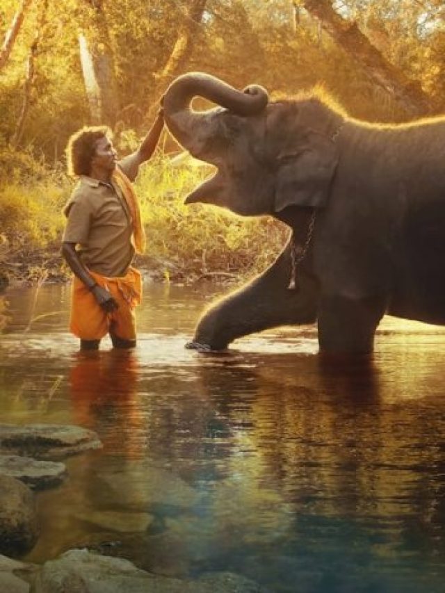 ‘The Elephant Whisperers’ Wins Oscar For Best Documentary Short