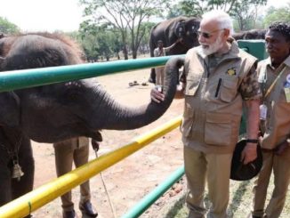 09modi-elephant-camp-1