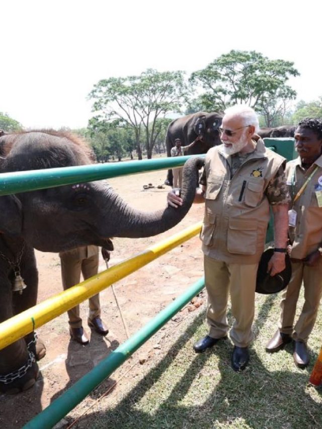 ‘The Elephant Whisperers’ couple meet PM Modi in Karnataka