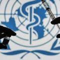 WHO Records China's First Death By Avian Flu