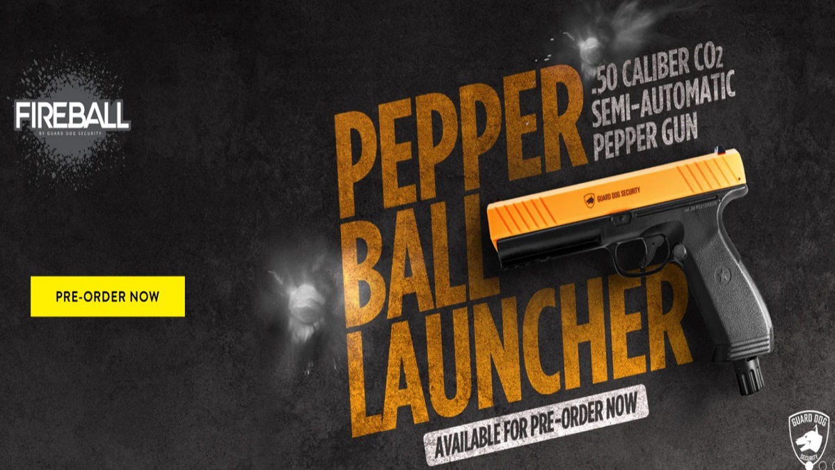 Keychain Alarm with Flashlight