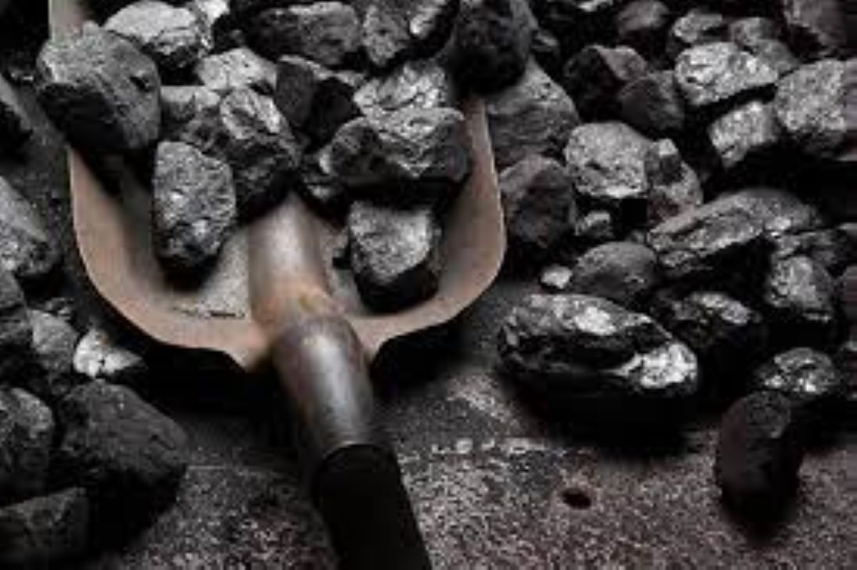 Government Gets Ready To Offload About 3% Stake In Coal India