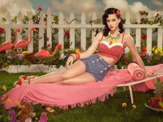 Katy Perry faces backlash from fans over her shoe collection