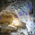 57,000-Year-Old Engravings Found in French Cave, Likely Made by Neanderthals