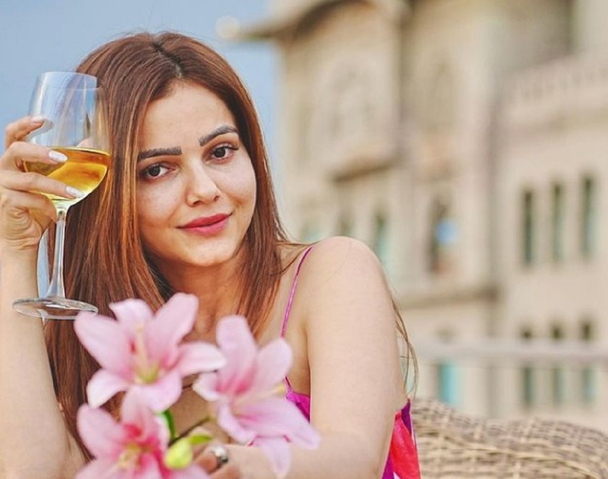 Rubina Dilaik Car Accident: Husband Abhinav Shukla Shares Details, Calls for Strict Action