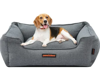 10 Designer Beds for Dogs That Will Make Your House Look Great