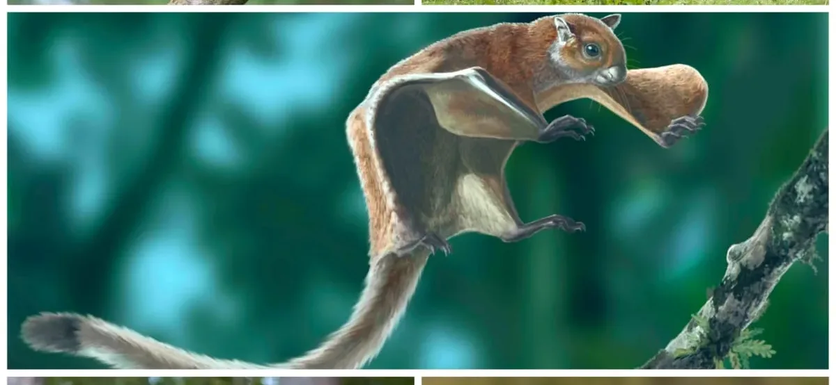 "Unless we act now and counter deforestation, these five animal species will go extinct," says environmental expert