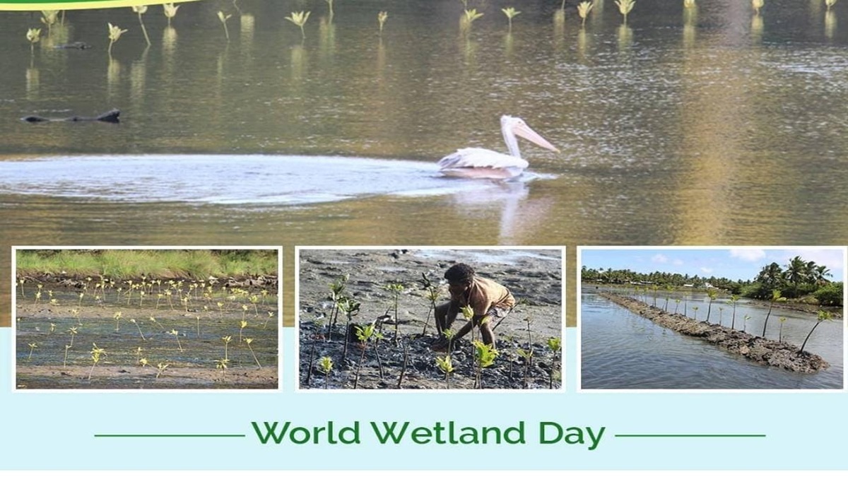 World Wetlands Day, on February 2