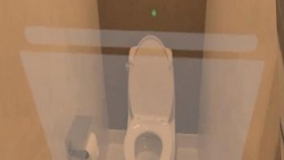 Flush of Fame: Internet's Reaction to the Best Toilet Gadget Viral Video
