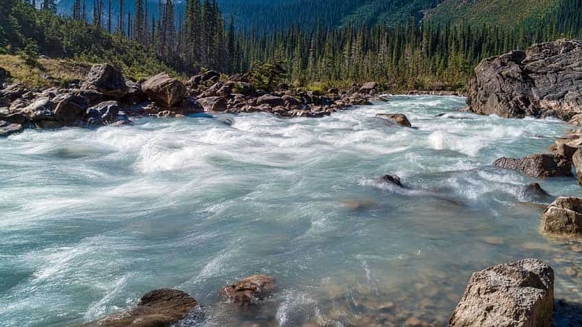 International Day of Action for Rivers 2024