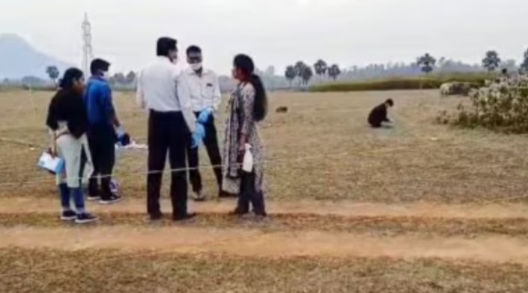 Spanish Traveler's Nightmare After Brutal Rape in India