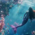 International Mermaid Day 2024; A magical species of the underwater world