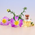 Purple Petal Flowers With Clear Glass Bottle With Cork in White Background