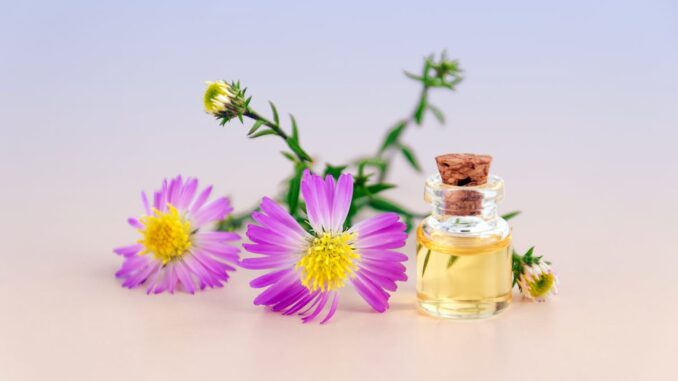 Purple Petal Flowers With Clear Glass Bottle With Cork in White Background