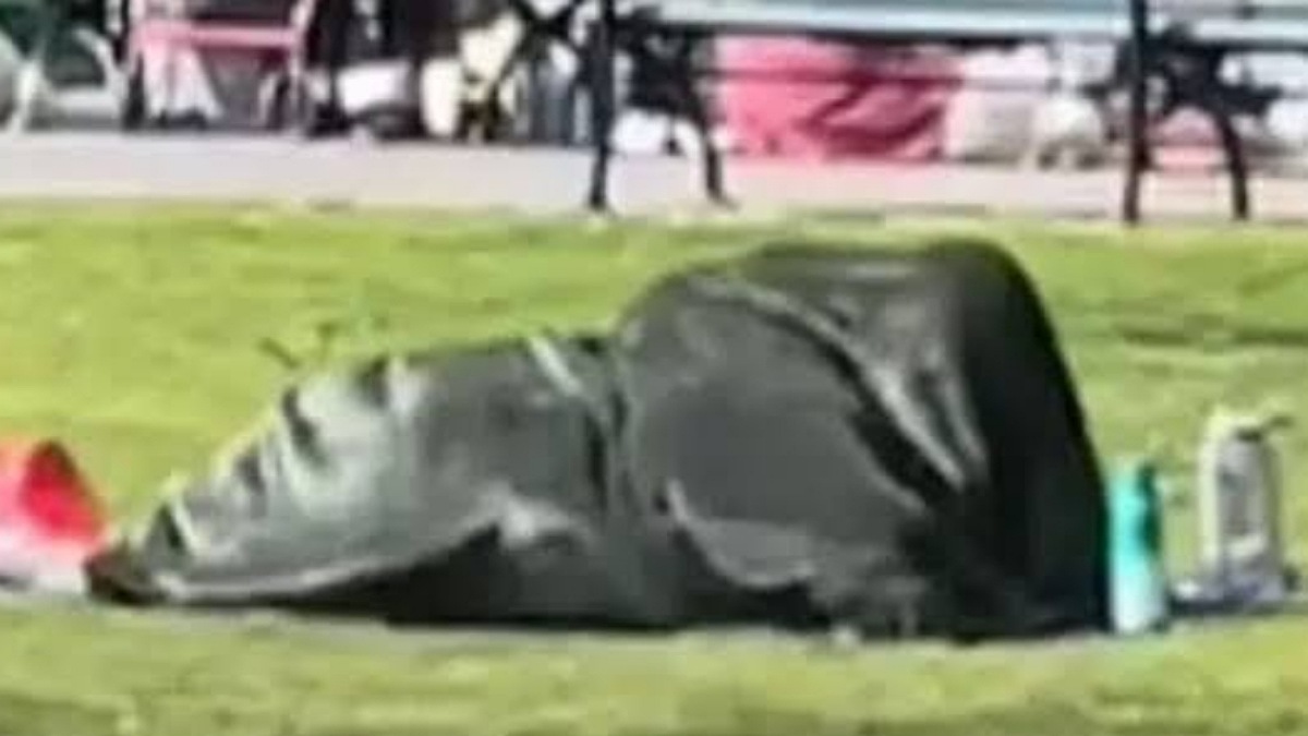 Public Outrage: Couple's Intimate Encounter in NYC Park Goes Viral