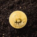 Bitcoin Achieves Second-Highest Weekly Close: A Milestone in Crypto History