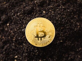 Close-Up Shot of a Bitcoin on the ground