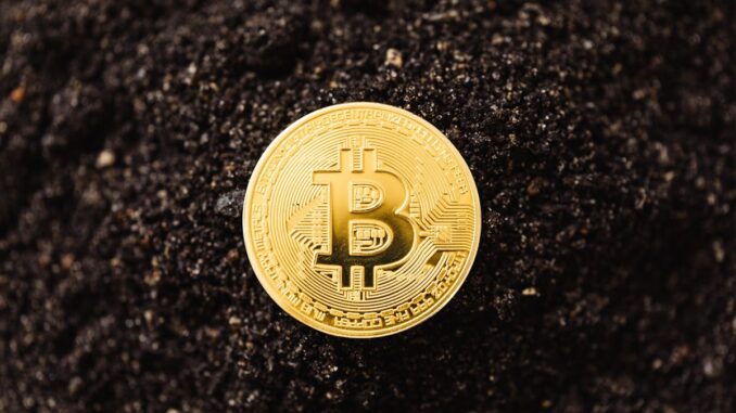 Close-Up Shot of a Bitcoin on the ground