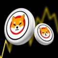 1000% Surge in Shiba Inu Burn Rate Sets SHIB Price on Bullish Path