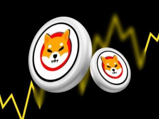 1000% Surge in Shiba Inu Burn Rate Sets SHIB Price on Bullish Path