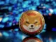 Shiba Inu’s 29% Leap: SHI Stablecoin Tease and Dragon Ball Meme Ignite Market”