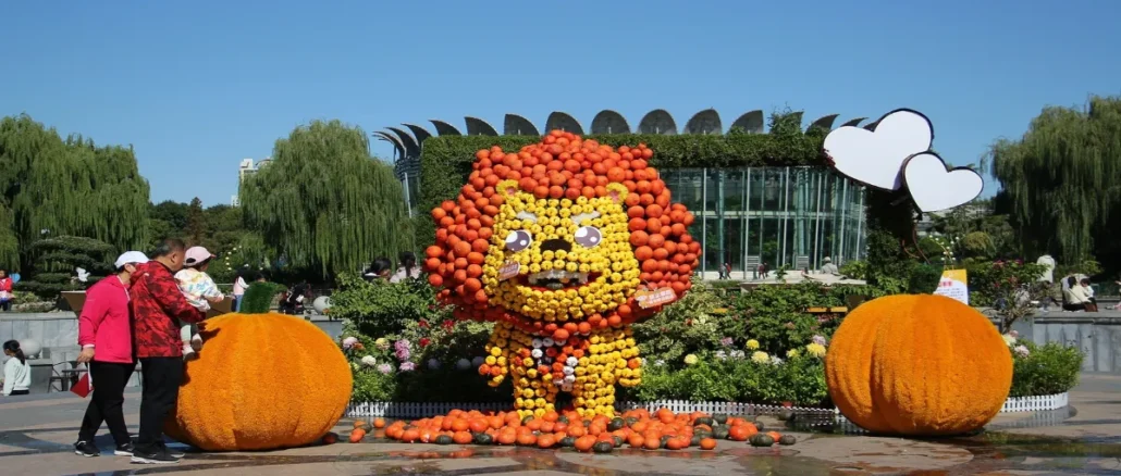 From Pandas to Dragons: Beijing’s Pumpkin Festival Wows Crowds