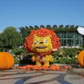 From Pandas to Dragons: Beijing’s Pumpkin Festival Wows Crowds