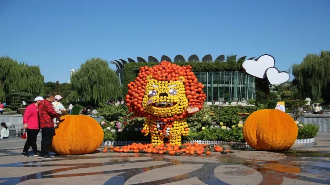 From Pandas to Dragons: Beijing’s Pumpkin Festival Wows Crowds