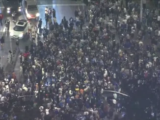 Chaos Erupts in Downtown Los Angeles