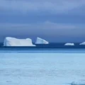 Antarctica's Ice Meltdown Climate Change's Alarming Impact