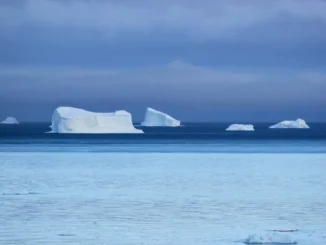 Antarctica's Ice Meltdown Climate Change's Alarming Impact