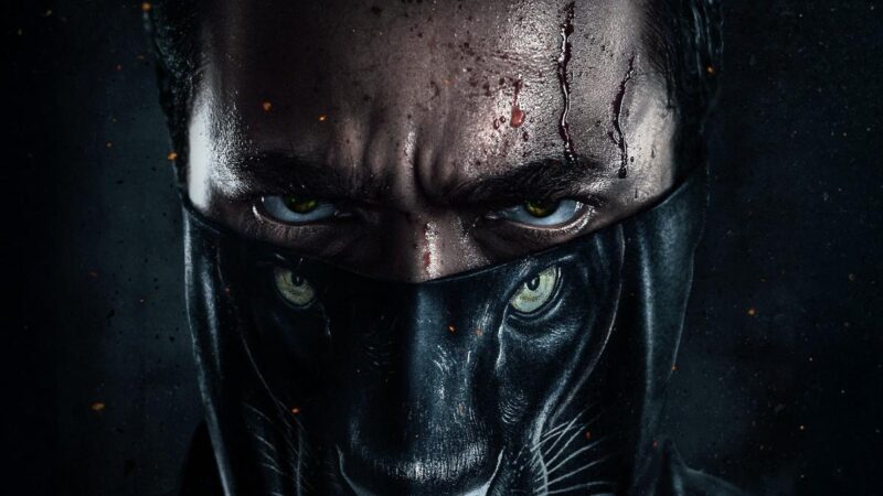 'Bagheera' Makes OTT Debut: A New Milestone for Kannada Cinema