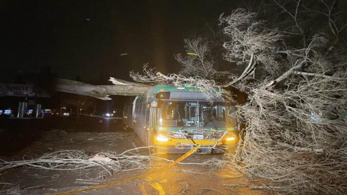 Seattle Bomb Cyclone: The Science Behind the Storm