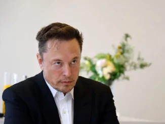 Elon Musk's Public Appeal for 'Bitcoin Jesus' Pardon