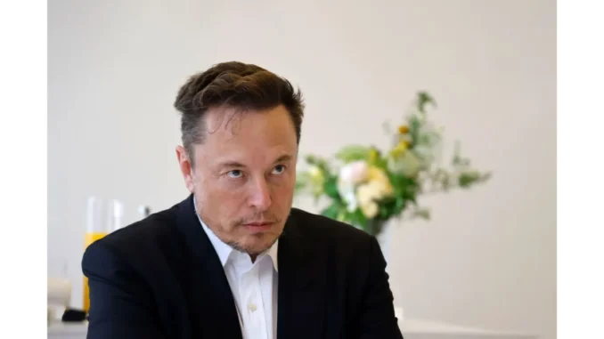 Elon Musk's Public Appeal for 'Bitcoin Jesus' Pardon