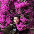 “320 Bougainvillea Varieties Transform Lianhuashan Park: Shenzhen Show 2024”