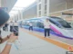 Hainan's Trendiest Railway Begins Operation