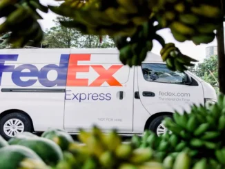 FedEx Launches Streamlined Export Permit Services for E-Commerce Retailers