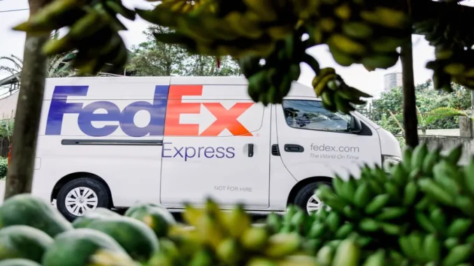 FedEx Launches Streamlined Export Permit Services for E-Commerce Retailers