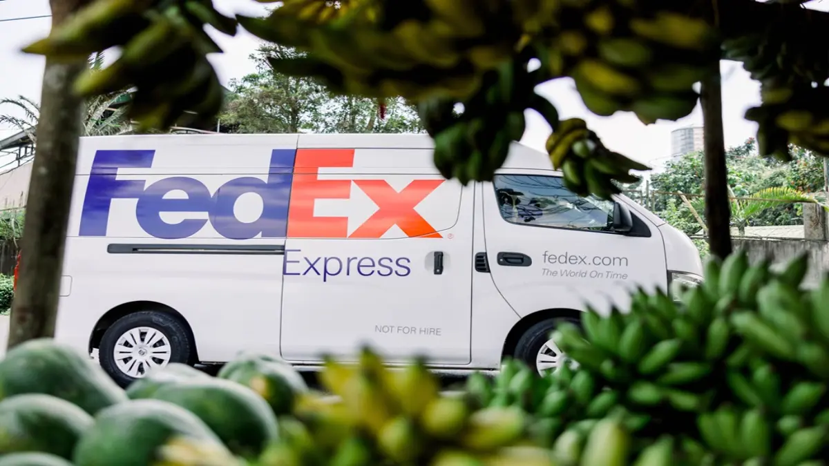 FedEx Launches Streamlined Export Permit Services for E-Commerce Retailers