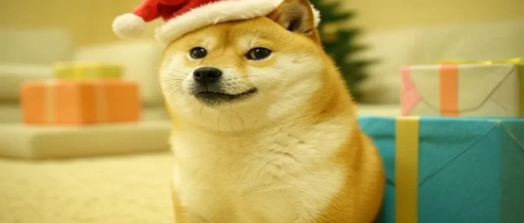 Dogecoin's Massive Crash Followed by Potential 100% Rash Rally