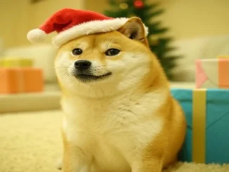 Dogecoin's Massive Crash Followed by Potential 100% Rash Rally