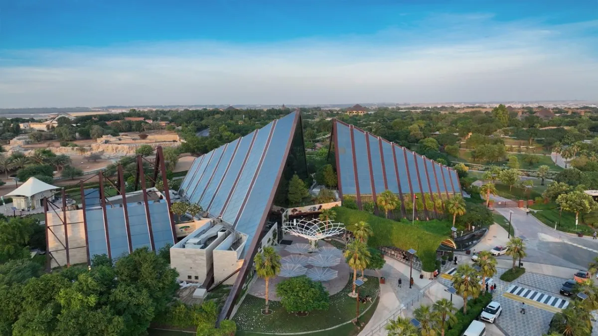 Dubai Safari's Night Safari: A Limited-Time Adventure from December 13 to January 12